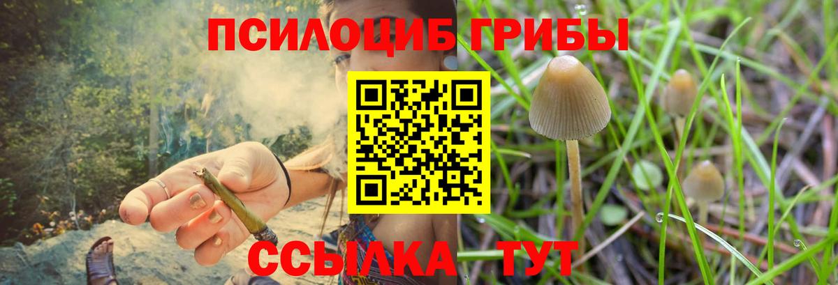 Псилоцибиновые грибы Psilocybine cubensis  Вход с VPN  Галлюциногенные грибы прущие грибы  Старая Купавна 